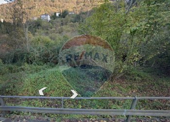 Giardino - Terreno edificabile via giobbi, Claino con Osteno - foto 4