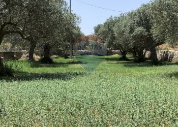 Giardino - Casa semi indipendente C.da  San Giacomo
 
snc, Modica - foto 18