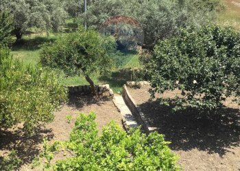 Giardino - Casa semi indipendente C.da  San Giacomo
 
snc, Modica - foto 24