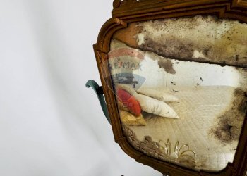 Dettagli - Trilocale Via Costanza Garibaldi
 
5, Riofreddo - foto 25