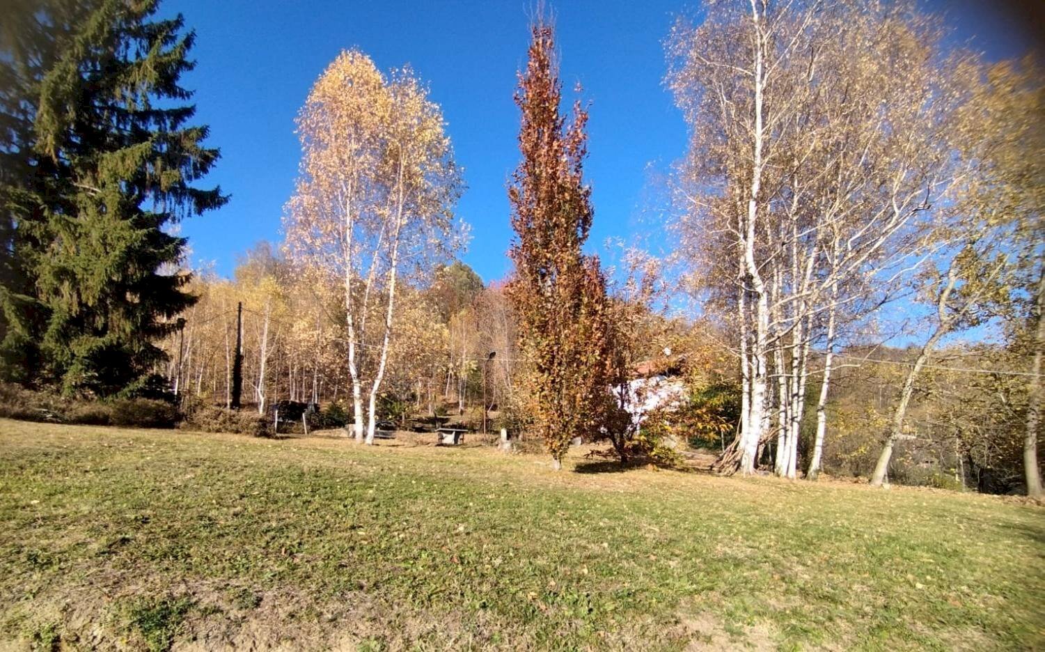 Foto 2 - Bilocale Angrogna - foto 2