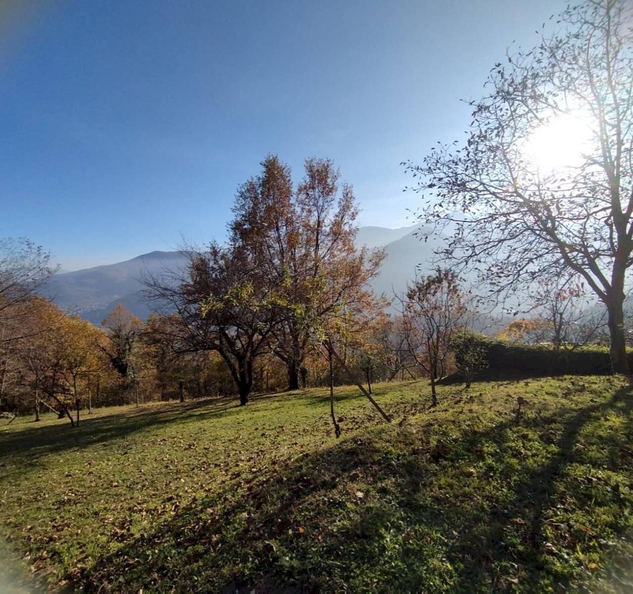 Foto 3 - Bilocale Angrogna - foto 3