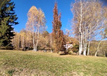 Foto 2 - Bilocale Angrogna - foto 2