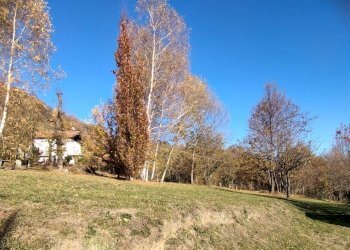 Foto 9 - Bilocale Angrogna - foto 9