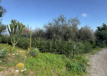 Giardino - Villa contrada carrera snc, Trabia - foto 36