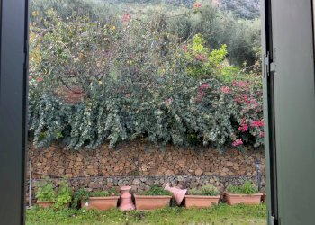 Giardino - Villa contrada carrera snc, Trabia - foto 39