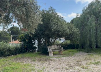 Giardino - Villa contrada carrera snc, Trabia - foto 44