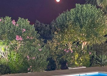 Piscina - Villa contrada carrera snc, Trabia - foto 96