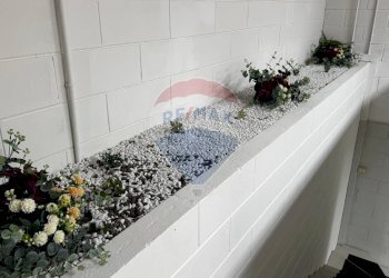 Dettagli - Shop viale Sandro Pertini
 
5, Collecchio - photo 15