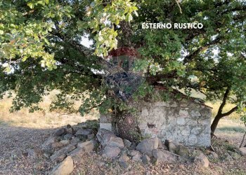 RUSTICO IN PIETRA - Rustico VIA DI CIVITELLA
 
SNC, Roccastrada - foto 14