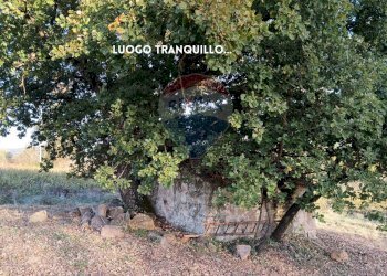 RUSTICO IN PIETRA - Rustico VIA DI CIVITELLA
 
SNC, Roccastrada - foto 16