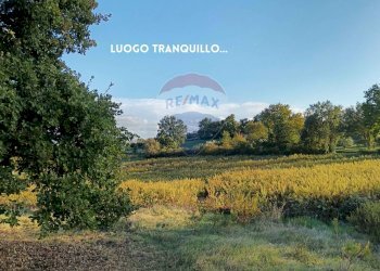 Giardino - Rustico VIA DI CIVITELLA
 
SNC, Roccastrada - foto 17