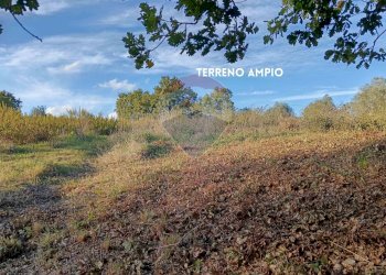 TERRENO - Rustico VIA DI CIVITELLA
 
SNC, Roccastrada - foto 20