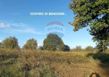 TERRENO CON VIGNA - Rustico VIA DI CIVITELLA
 
SNC, Roccastrada - foto 21