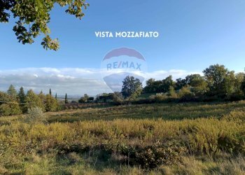 TERRENO SEMINATIVO - Rustico VIA DI CIVITELLA
 
SNC, Roccastrada - foto 22