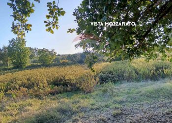 TERRENO SEMINATIVO - Rustico VIA DI CIVITELLA
 
SNC, Roccastrada - foto 24