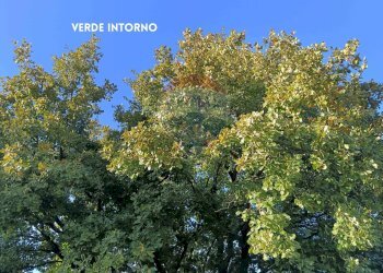 ALBERI - Rustico VIA DI CIVITELLA
 
SNC, Roccastrada - foto 26