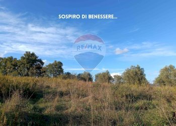 TERRENO - Rustico VIA DI CIVITELLA
 
SNC, Roccastrada - foto 27