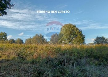 TERRENO - Rustico VIA DI CIVITELLA
 
SNC, Roccastrada - foto 30