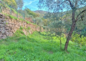 Giardino - Appartamento via della Ne', Recco - foto 16