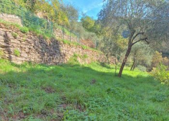 Giardino - Appartamento via della Ne', Recco - foto 18