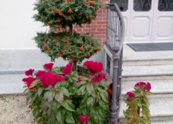 Ingresso - Appartamento corso Susa, 17, Buttigliera Alta - foto 33