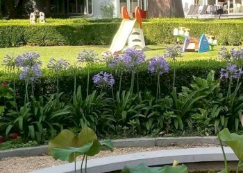 Giardino - Appartamento corso Susa, 17, Buttigliera Alta - foto 38