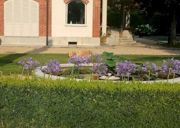 Giardino - Appartamento corso Susa, 17, Buttigliera Alta - foto 34