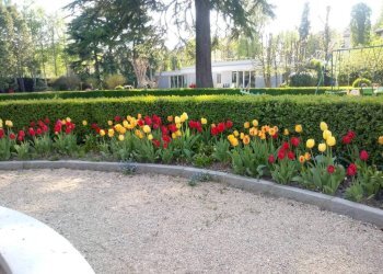 Giardino - Appartamento corso Susa, 17, Buttigliera Alta - foto 41