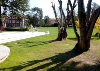 Giardino - Appartamento corso Susa, 17, Buttigliera Alta - foto 6