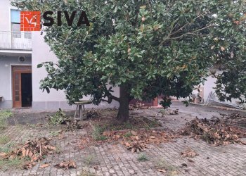 Foto 9 - Casa indipendente Via Vecchia Traversara
 
12, Bagnacavallo - foto 9