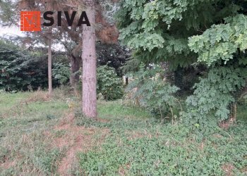 Foto 14 - Casa indipendente Via Vecchia Traversara
 
12, Bagnacavallo - foto 14