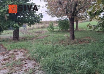 Foto 15 - Casa indipendente Via Vecchia Traversara
 
12, Bagnacavallo - foto 15