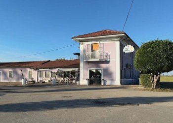 Zona - Restaurant piazza San Magno, 1, Fossano - photo 15