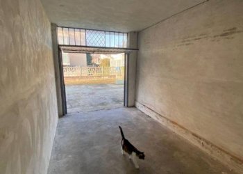 Interno palazzo - Box via Enrico Fermi, 11, Carmagnola - foto 12