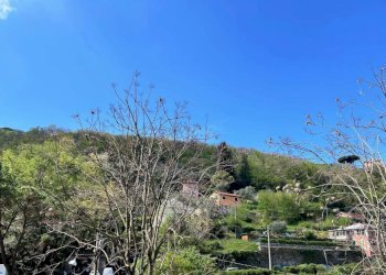 Terreno - Appartamento via Aurelia, 301, Camogli - foto 7