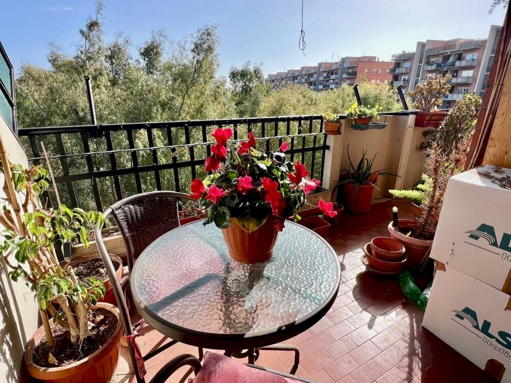 Balcone - Four-room apartment via Davide Campari, Roma (neighborhood Alessandrino) - photo 3