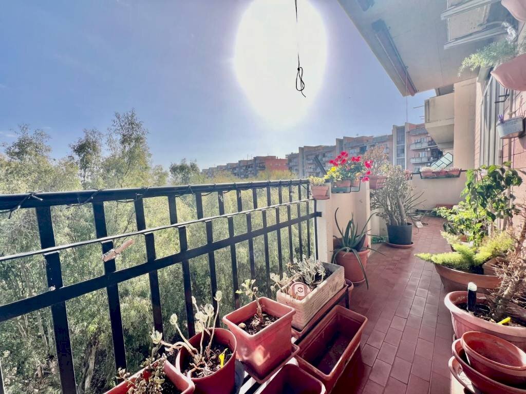 Balcone - Four-room apartment via Davide Campari, Roma (neighborhood Alessandrino) - photo 2