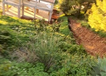 Terreno - Villa contrada Costa Romita, Castellammare del Golfo - foto 14