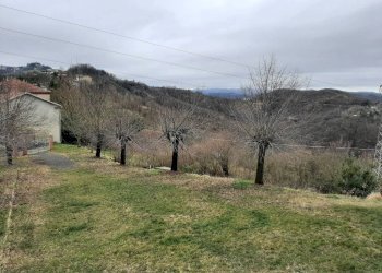 Terreno - Trilocale Frazione Ciglione, Ponzone - foto 4