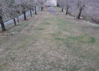 Terreno - Trilocale Frazione Ciglione, Ponzone - foto 5
