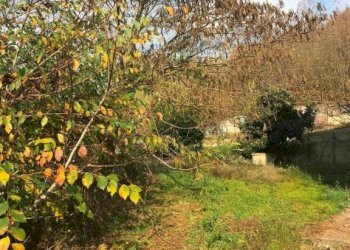 Terreno - Rustico via Colla, 4, Cortiglione - foto 12