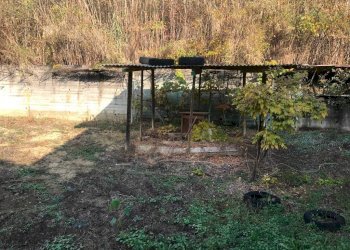 Terreno - Rustico via Colla, 4, Cortiglione - foto 18