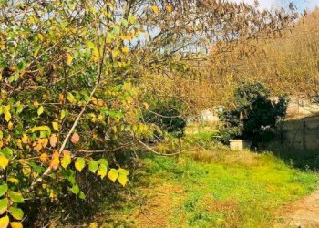 Terreno - Rustico via Colla, 4, Cortiglione - foto 22