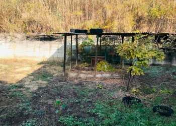 Terreno - Rustic via Colla, 4, Cortiglione - photo 27