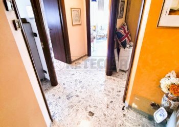 20250301_121954.jpg - Quadrilocale Pescara - foto 7