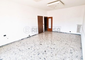 20250610_092910.jpg - Quadrilocale Pescara - foto 15