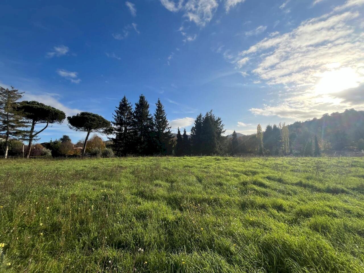 WhatsApp Image 2024-11-21 at 15.14.50 (1).jpeg - Terreno agricolo Via Tuscolana 26, Grottaferrata - foto 1