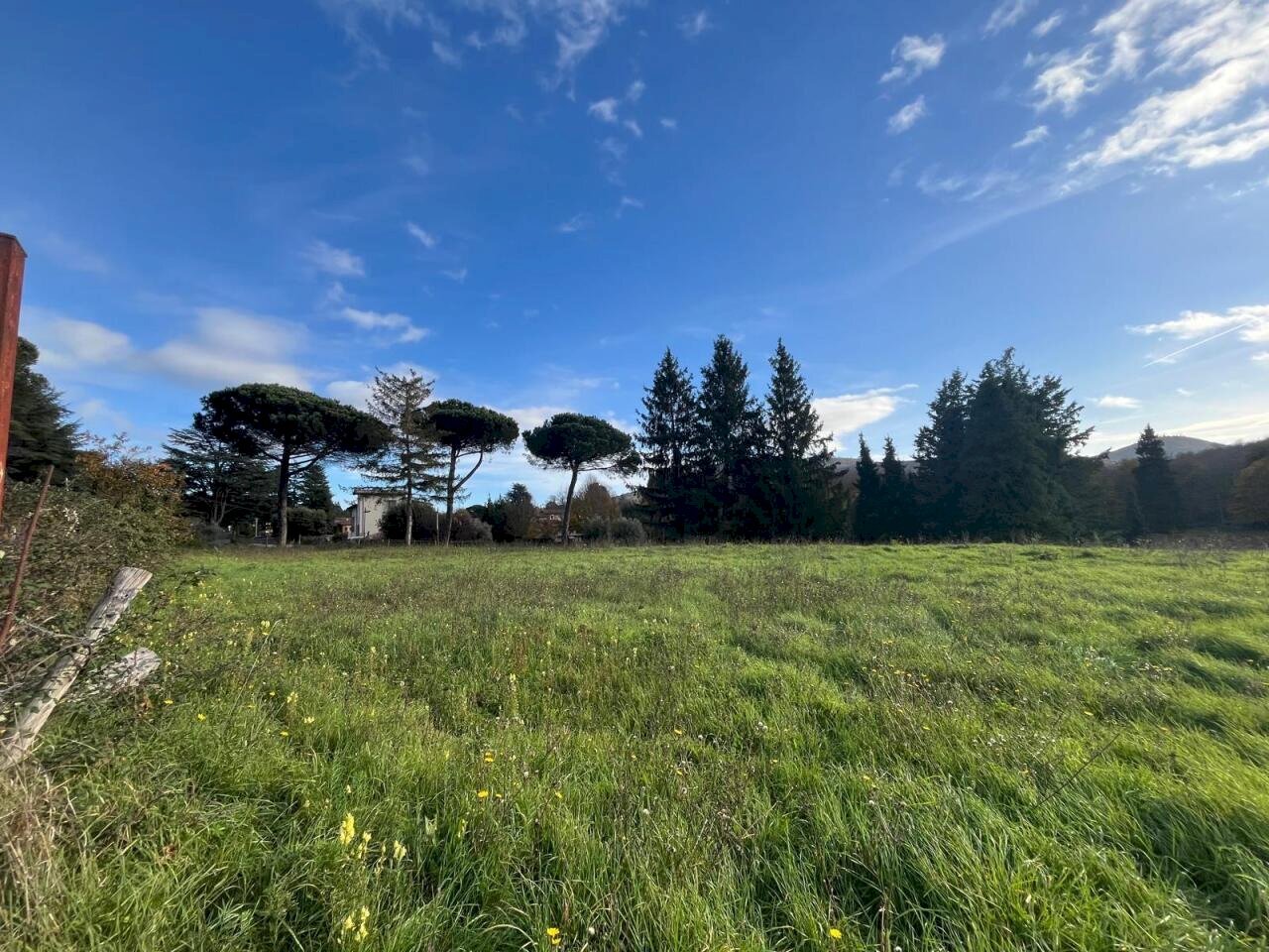 WhatsApp Image 2024-11-21 at 15.14.52 (2).jpeg - Terreno agricolo Via Tuscolana 26, Grottaferrata - foto 3