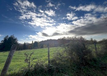 WhatsApp Image 2024-11-21 at 15.14.52 (3).jpeg - Terreno agricolo Via Tuscolana 26, Grottaferrata - foto 2